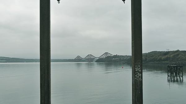 Inclusion and Belonging — IMG_20241102_111109
