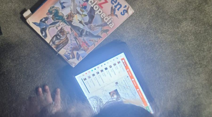 Figure 1. A child engaged in self-directed research using both print and digital resources, exemplifying Froebel's principle of self-activity and the child as a capable, curious learner.